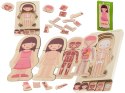 Puzzle drewniane warstwowe - budowa ciała (dziewczynka) montessori