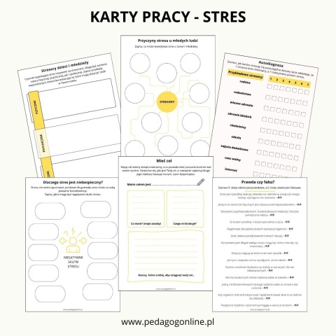 Kompleksowy zestaw materiałów profilaktycznych dla szkół - 33 pakiety