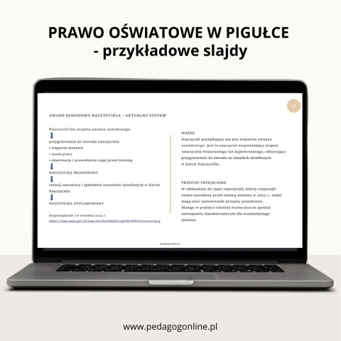 Zestaw 3 produktów - Pedagog szkolny w pigułce + Pomoc psychoglogiczno-pedagogiczna + Prawo oświatowe w pigułce